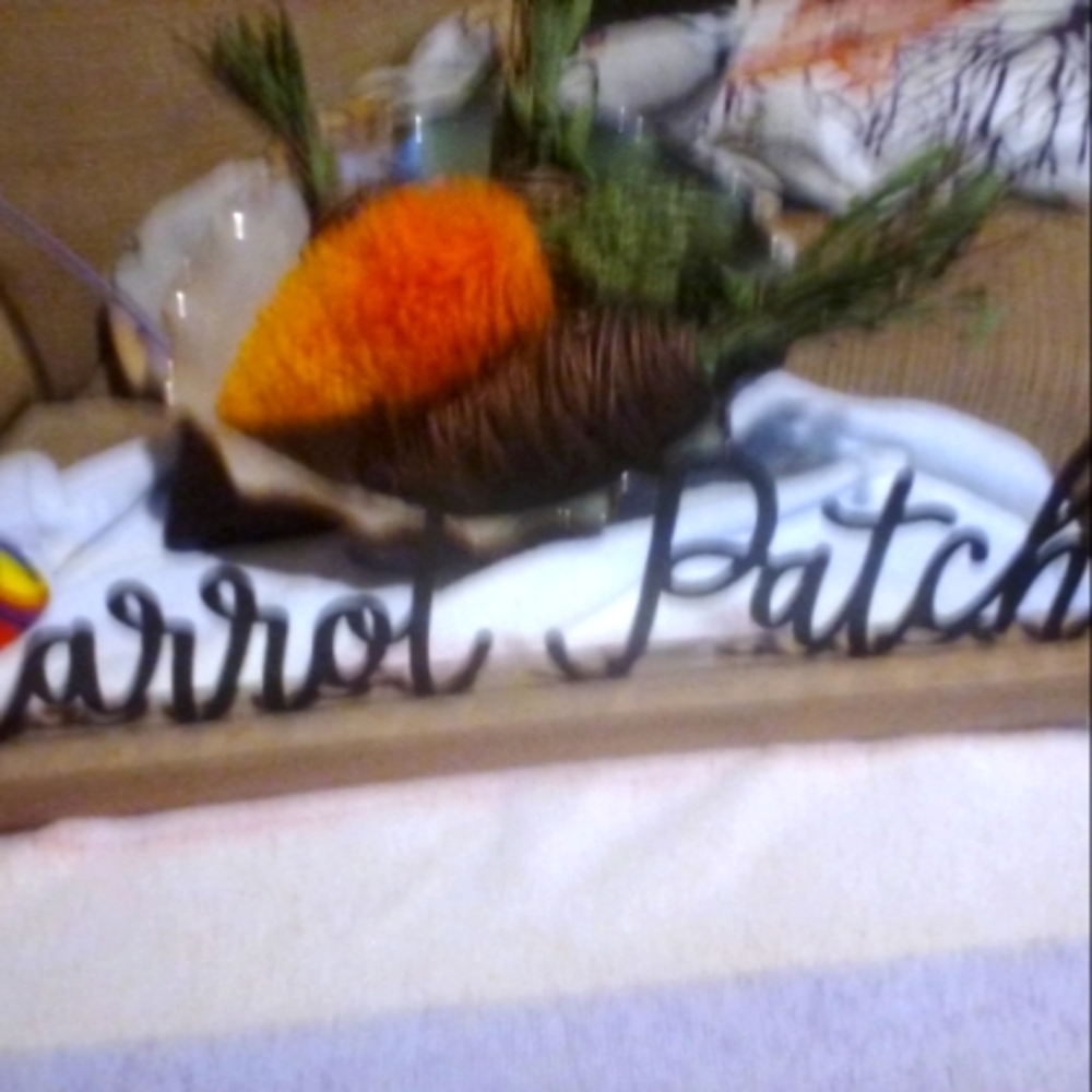 Carrot patch with Pottery bowl